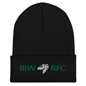 Rugby Imports Boston Irish Wolfhounds YRFC Cuffed Beanie