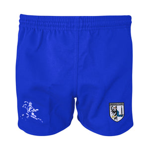 Rugby Imports Hibernian RFC RI Pro Power Shorts