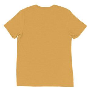 Rugby Imports Providence RFC Triblend T-Shirt
