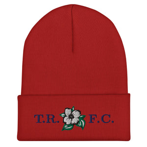 Rugby Imports Triad RFC Cuffed Beanie