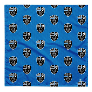 Rugby Imports Black & Blue U23 Pet Bandana