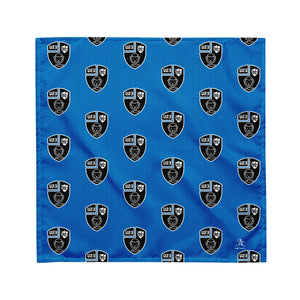 Rugby Imports Black & Blue U23 Pet Bandana