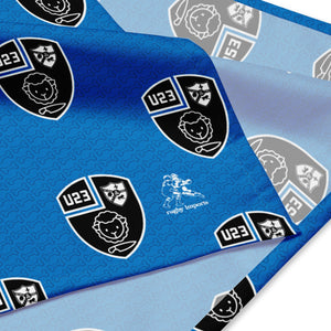 Rugby Imports Black & Blue U23 Pet Bandana