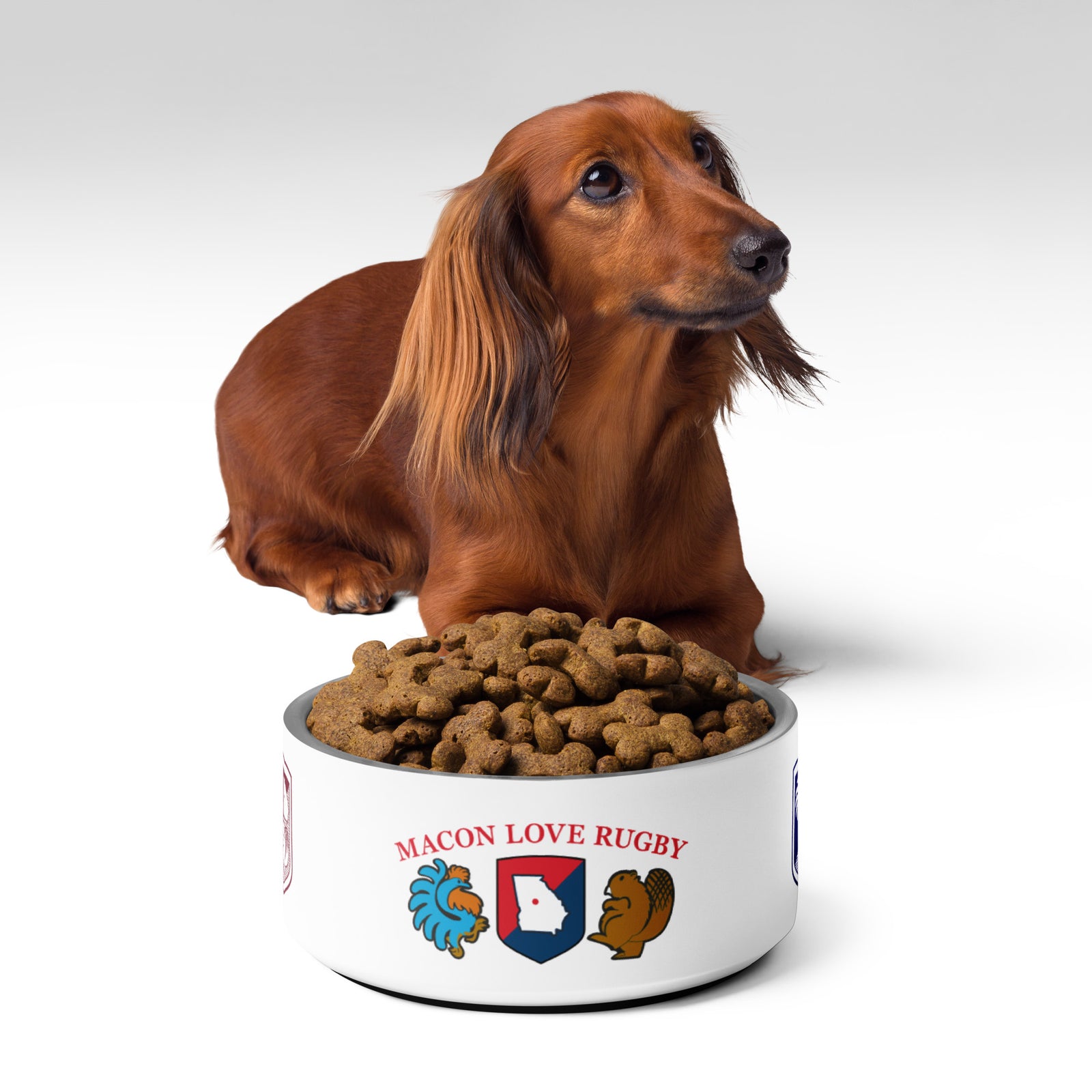 Rugby Imports Macon Love Rugby Pet Bowl