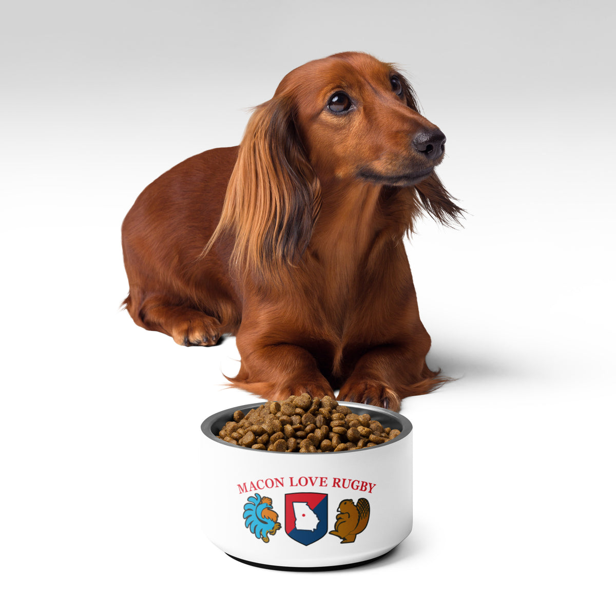 Rugby Imports Macon Love Rugby Pet Bowl