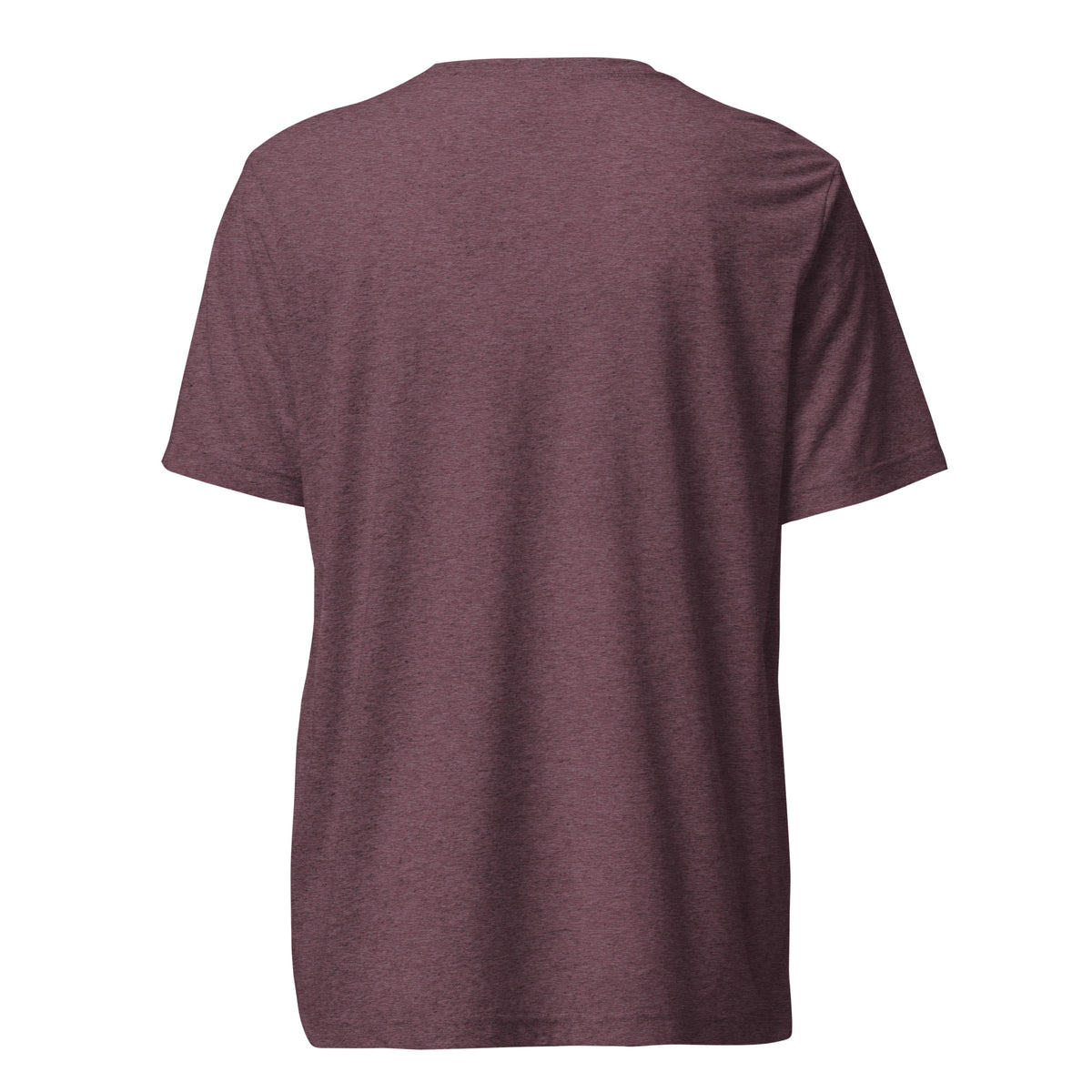 Rugby Imports Philly Rugby Triblend T-Shirt