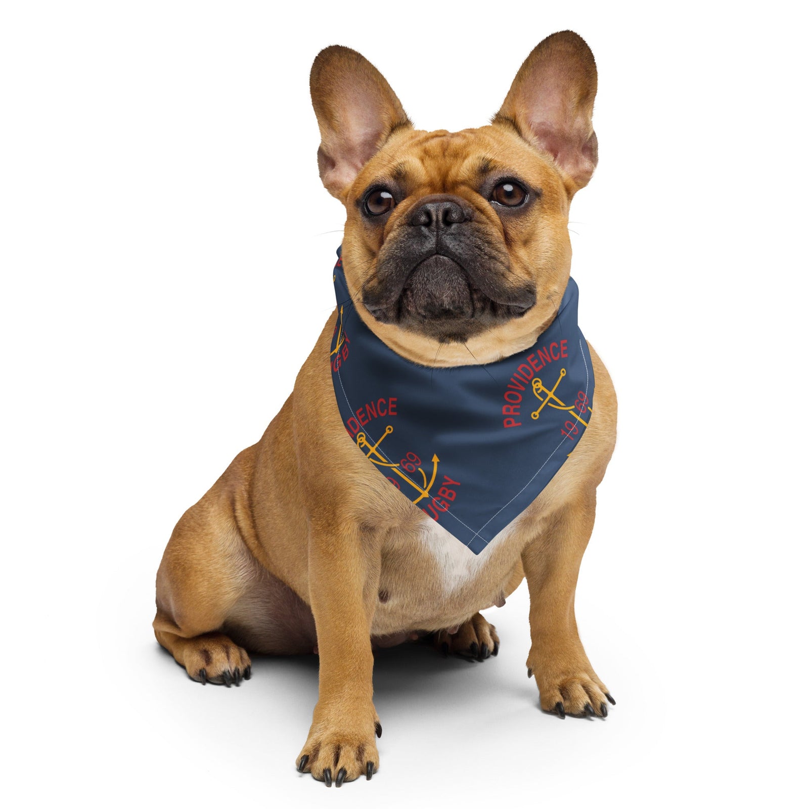 Rugby Imports Providence RFC Pet Bandana