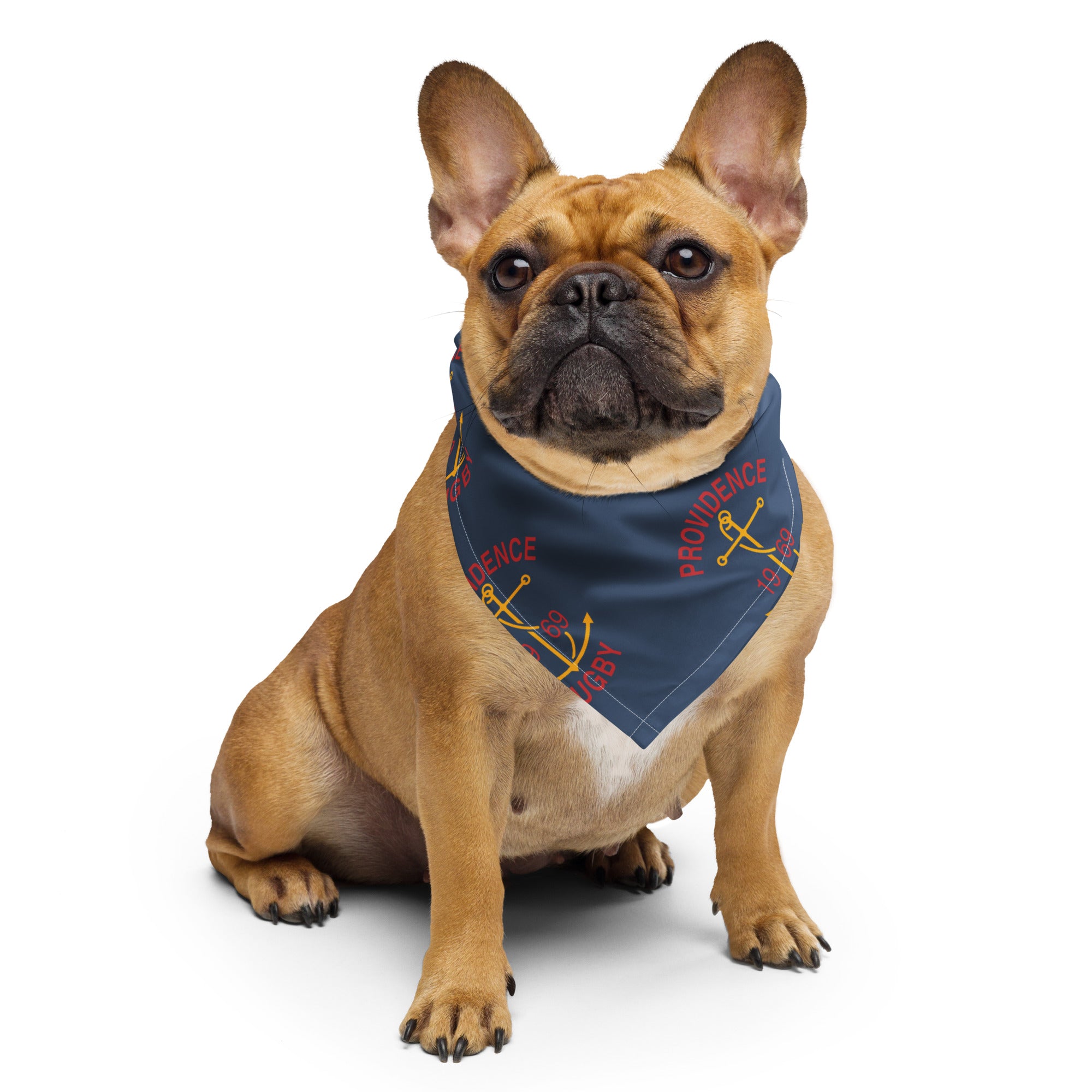 Rugby Imports Providence RFC Pet Bandana