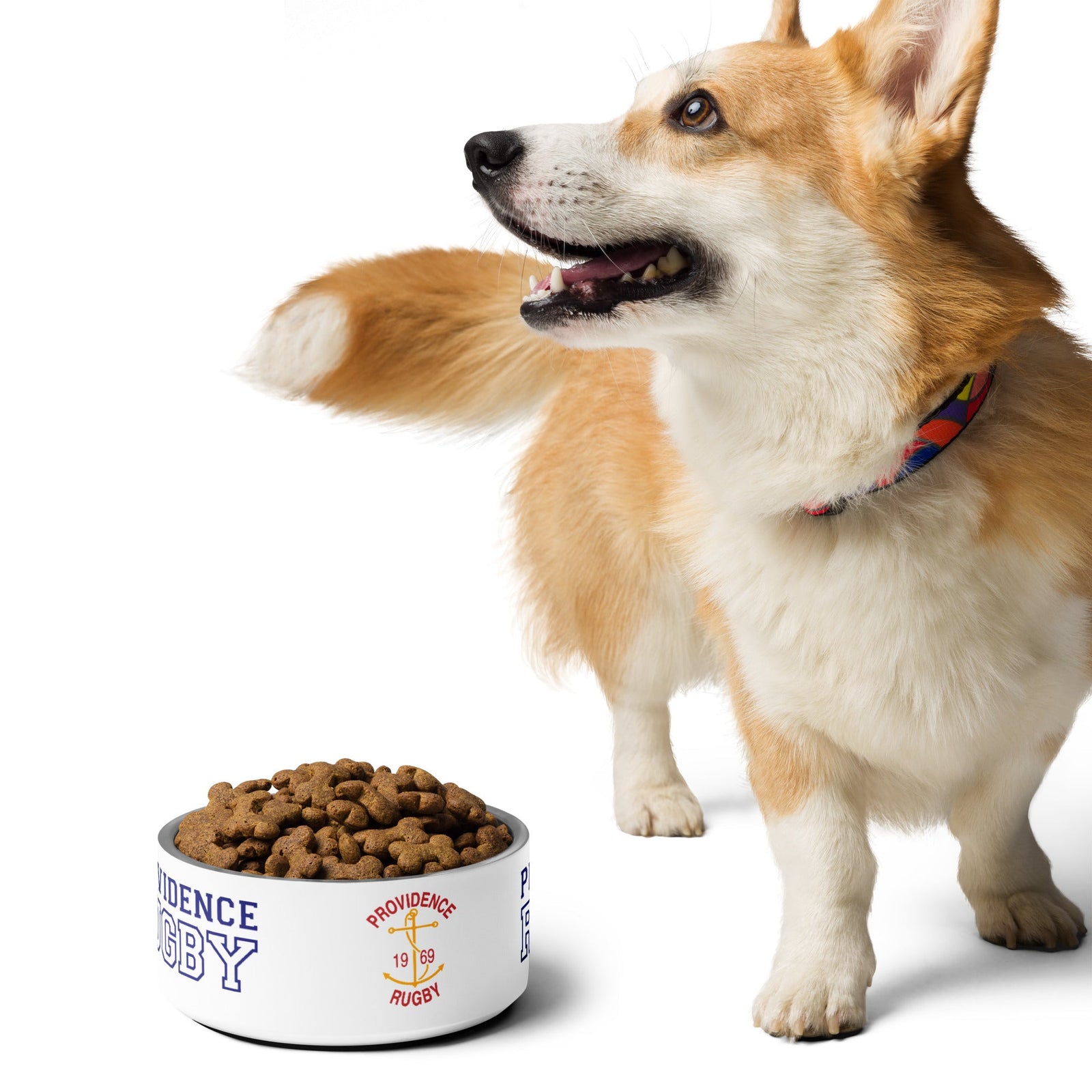 Rugby Imports Providence RFC Pet bowl