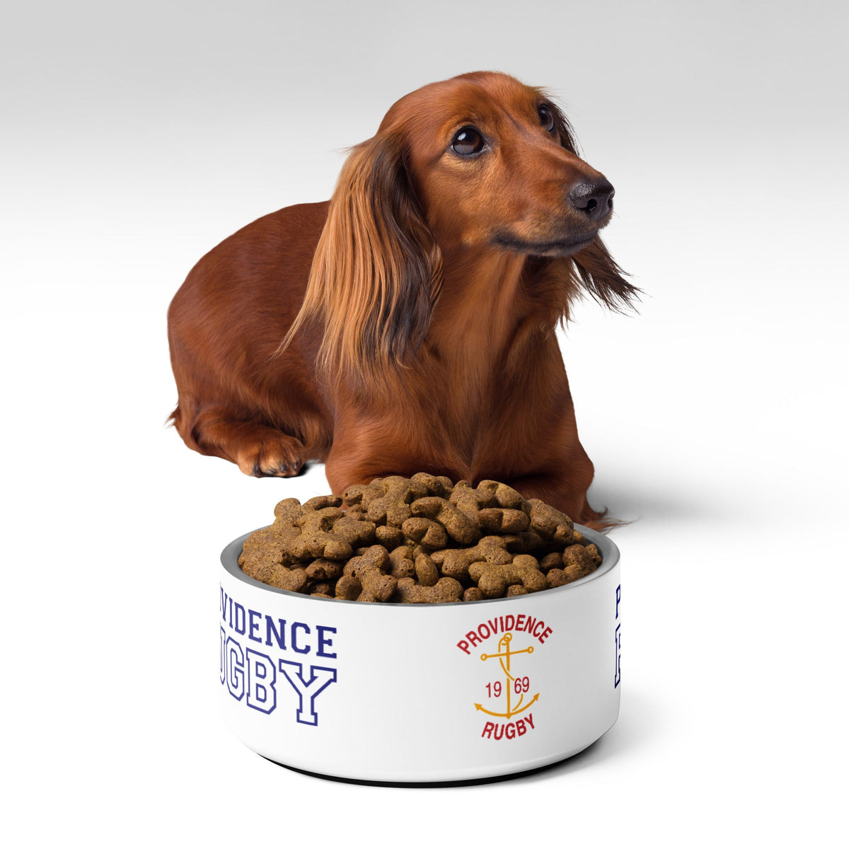 Rugby Imports Providence RFC Pet bowl