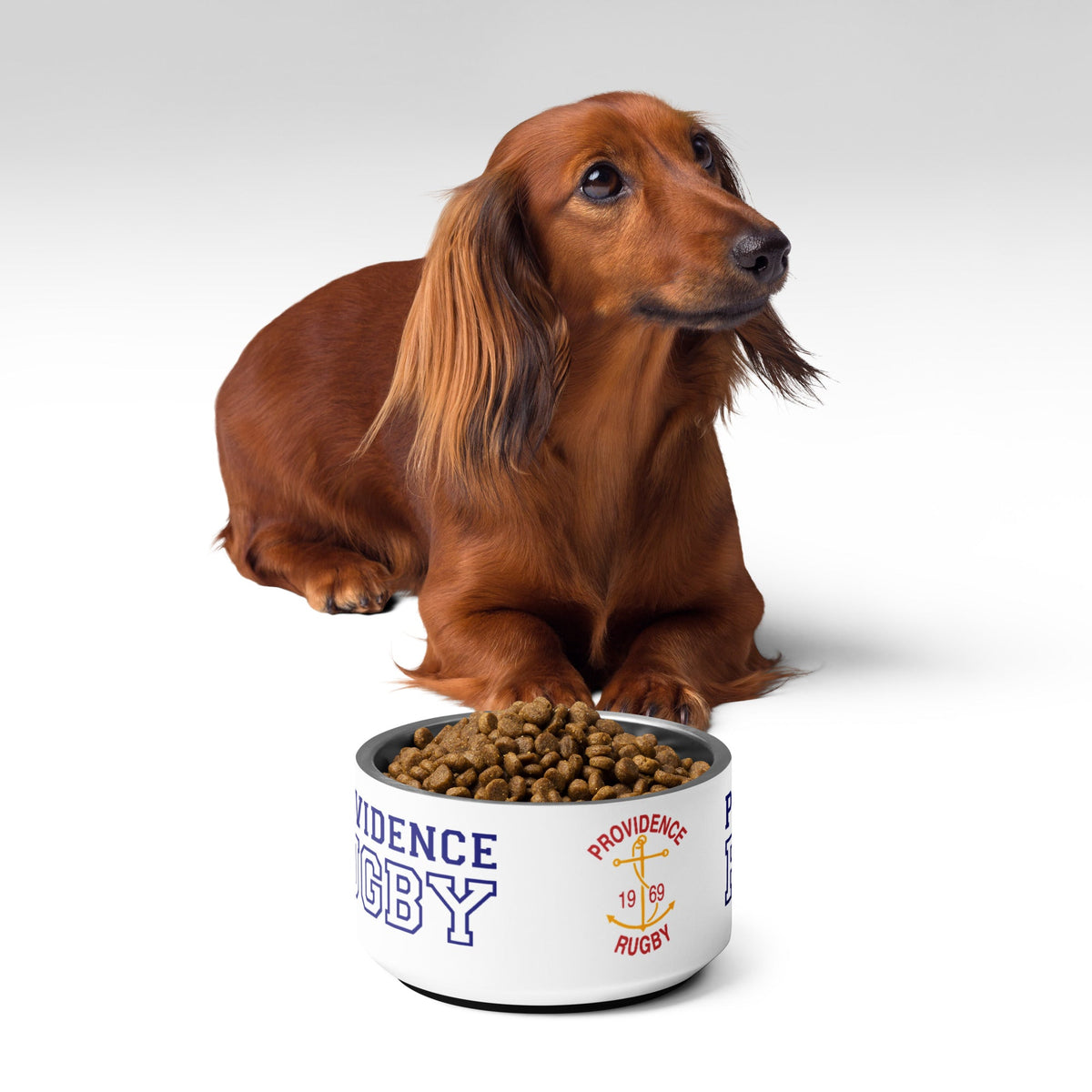 Rugby Imports Providence RFC Pet bowl