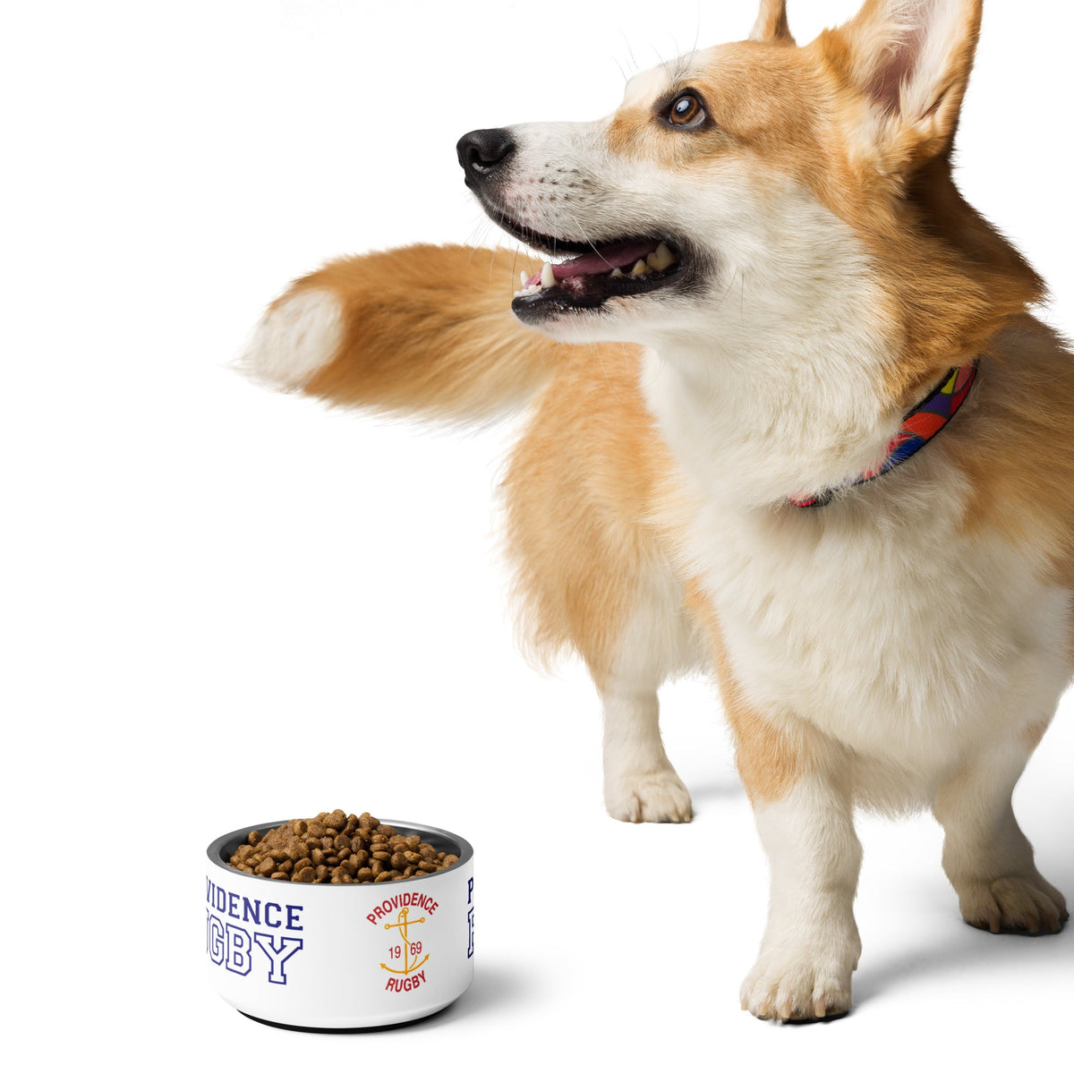 Rugby Imports Providence RFC Pet bowl