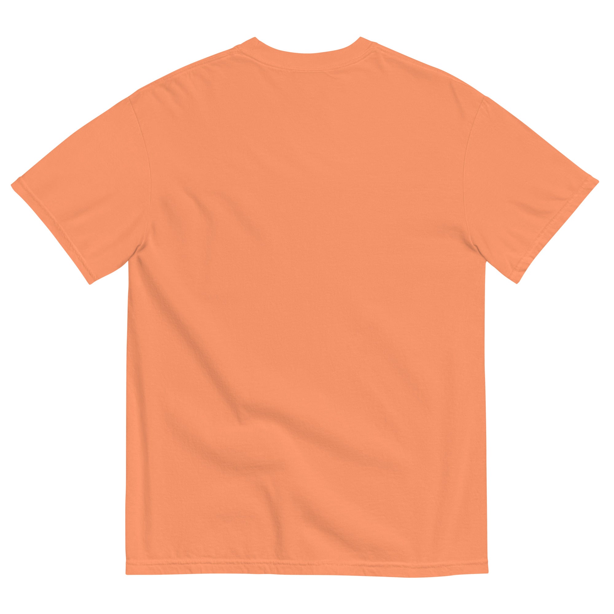Rugby Imports Rhinos Rugby Garment-Dyed T-Shirt