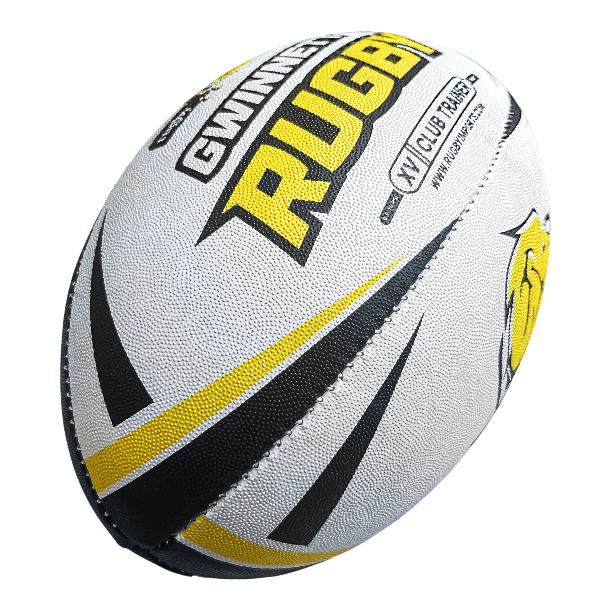 lions rugby balls