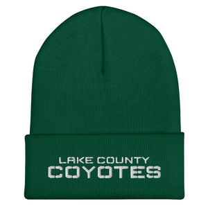 Rugby Imports Lake County Cuffed Beanie